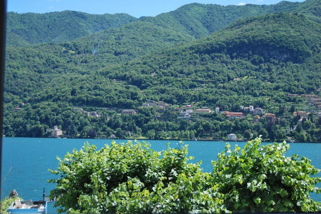 Hotel Orso Bruno