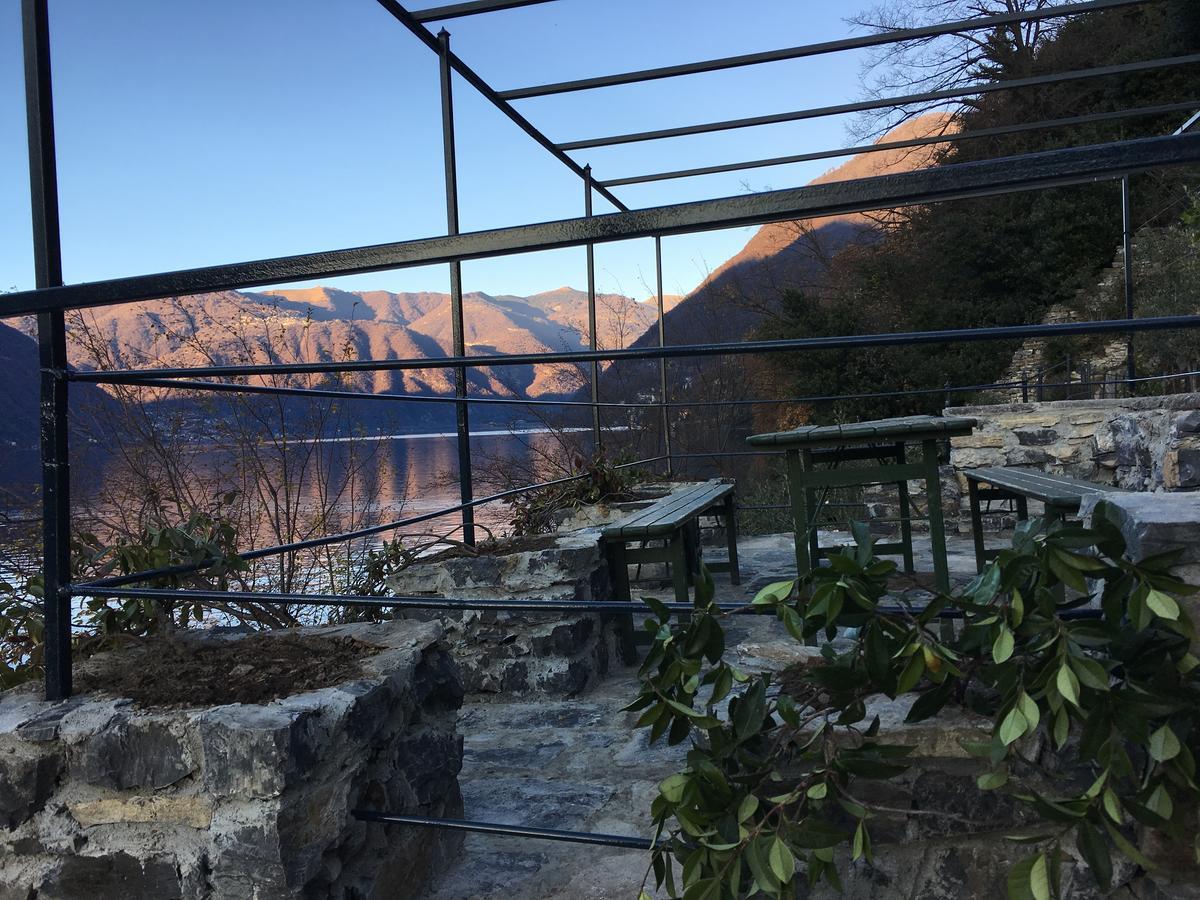 Castagna * Nesso