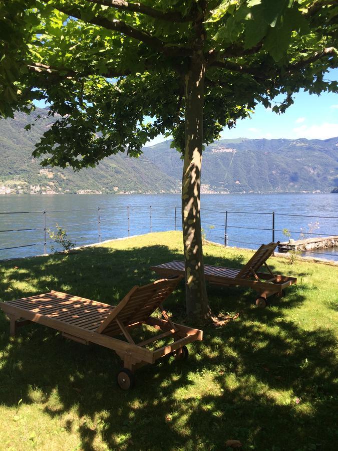 Castagna * Nesso