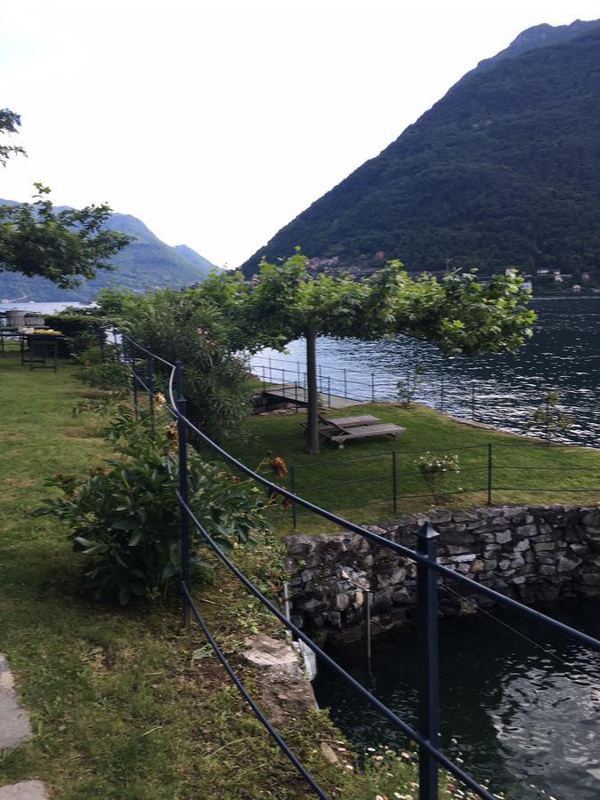 Castagna Nesso