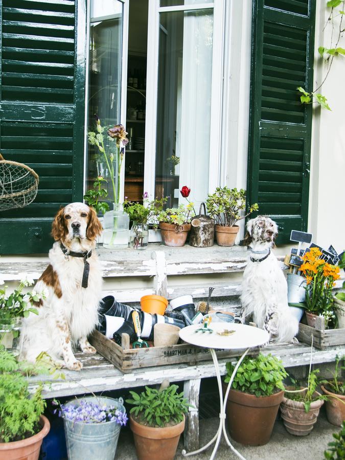Derriere Bed & Breakfast Cernobbio