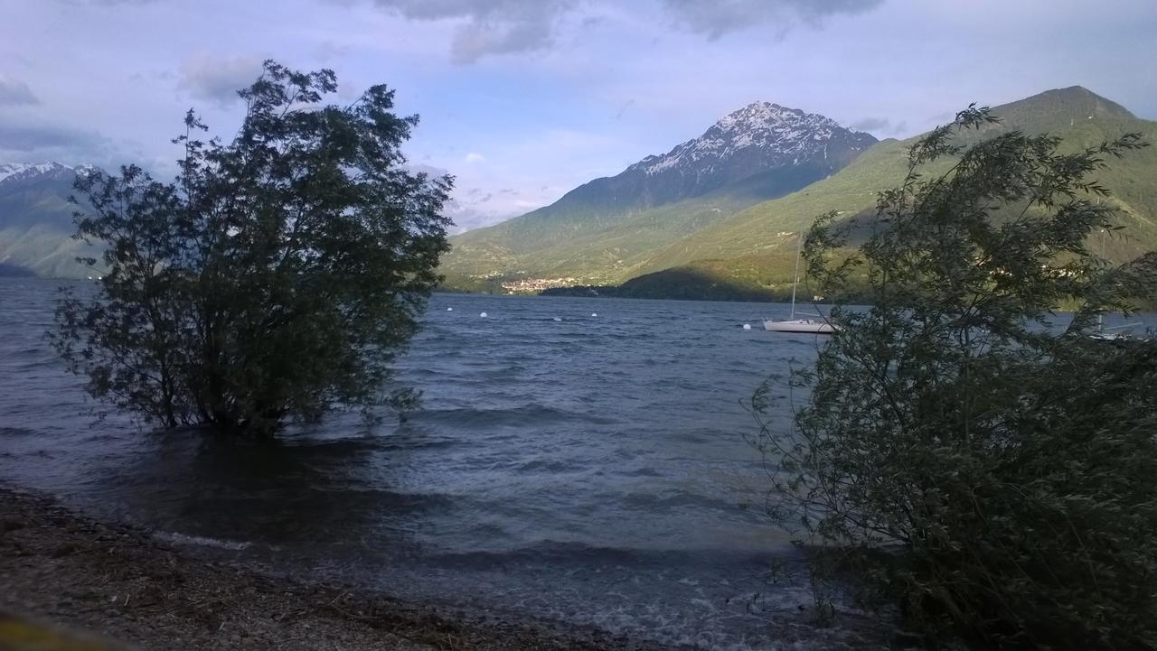 Zia Maria 3*