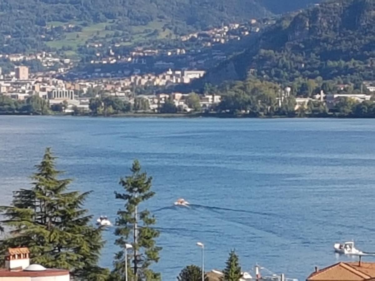 Ai Due Vecchi Ulivi Garlate