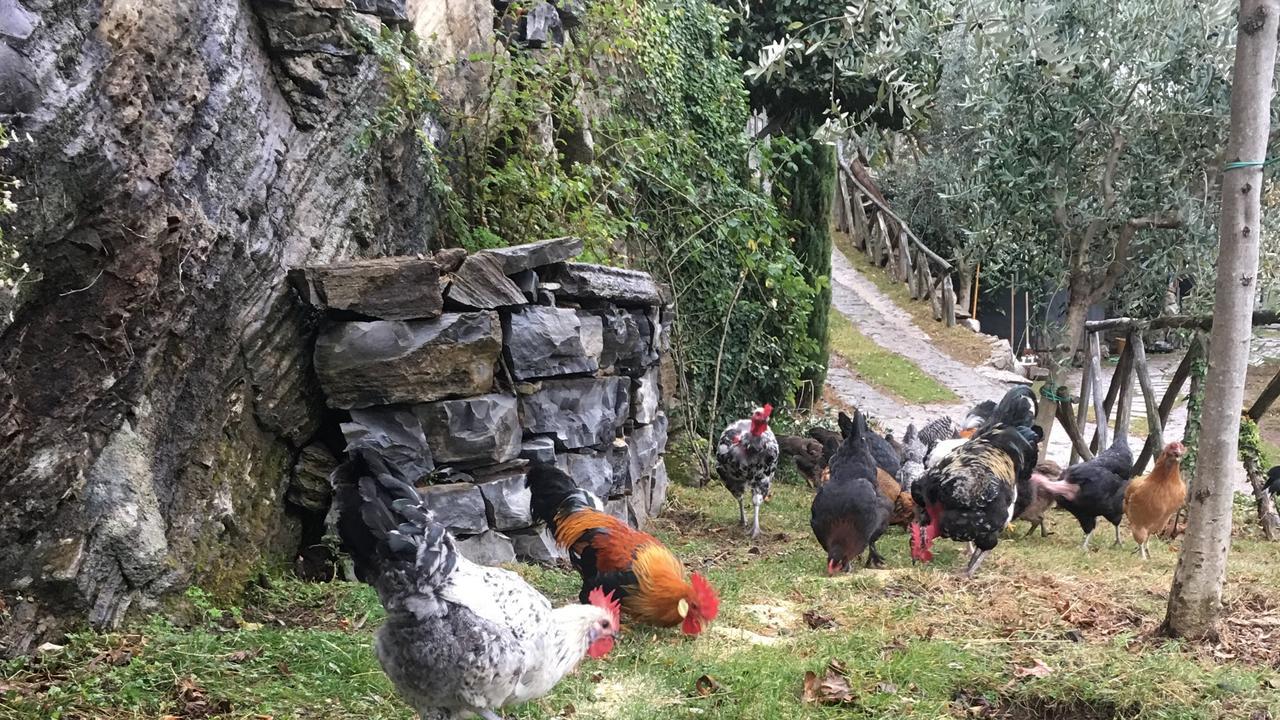 Casa Vacanza Castagna *