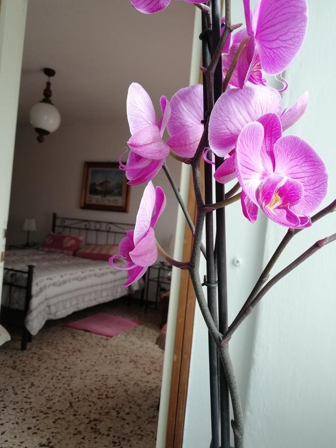 Apartment Antica Officina *