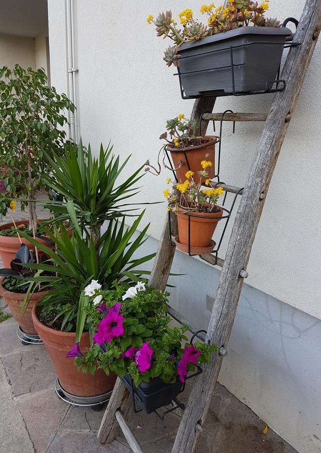 Ai Due Vecchi Ulivi Bed & Breakfast Garlate