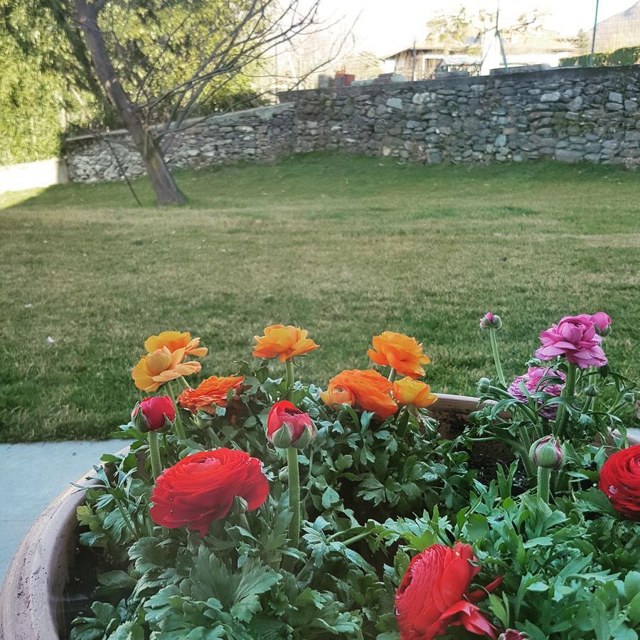 Foresteria Margherita Guest house 3*