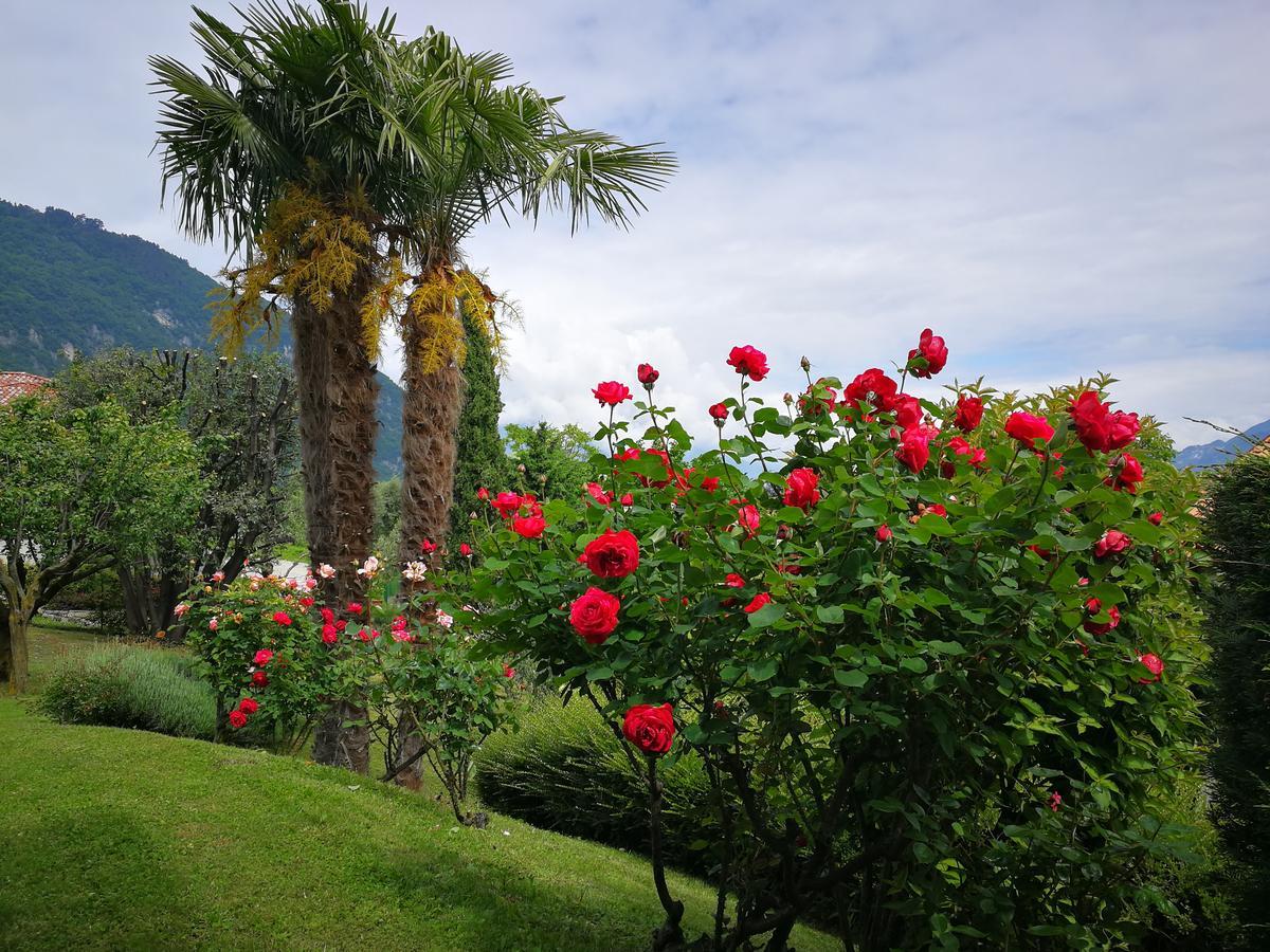 Bellagio View Holiday home Oliveto Lario