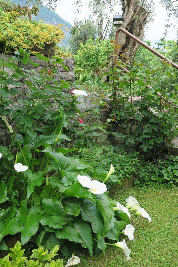 Bellagio View Holiday home Oliveto Lario