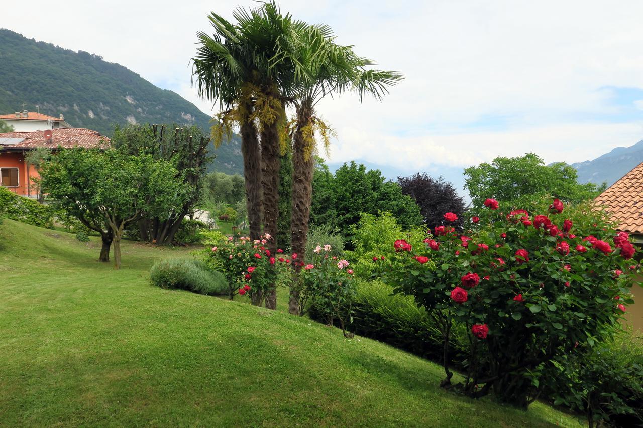 Bellagio View Holiday home Oliveto Lario