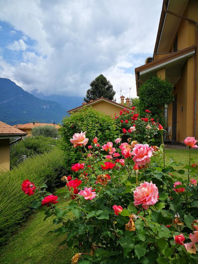 Holiday home Bellagio View