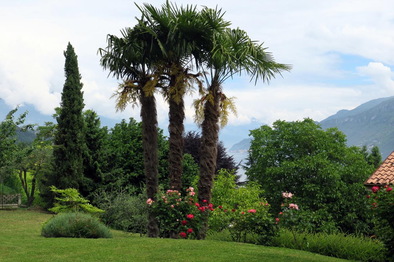 Bellagio View * Oliveto Lario