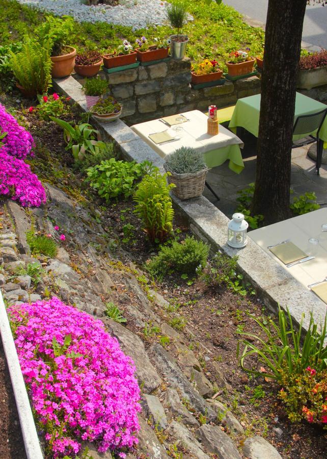 Il Grifo Bed & Breakfast Lenno
