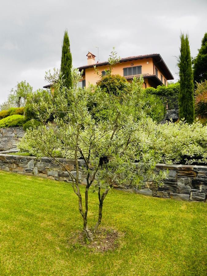 Il Paradiso Apartment