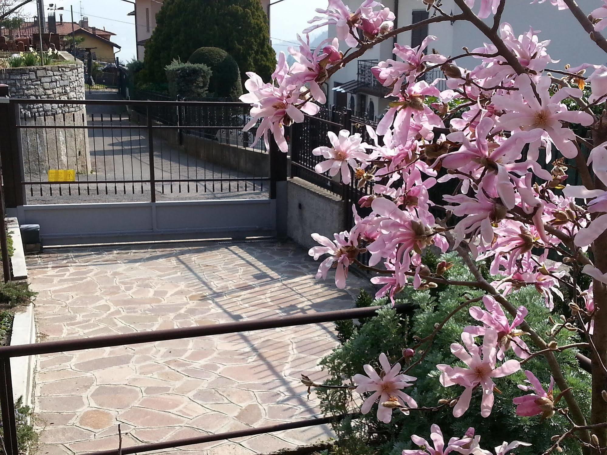 Co.ri. Appartamento *