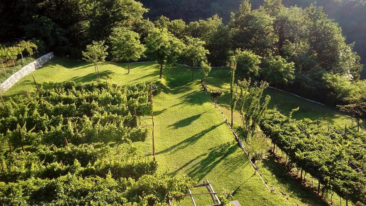 Camping Colle Vento * Domaso