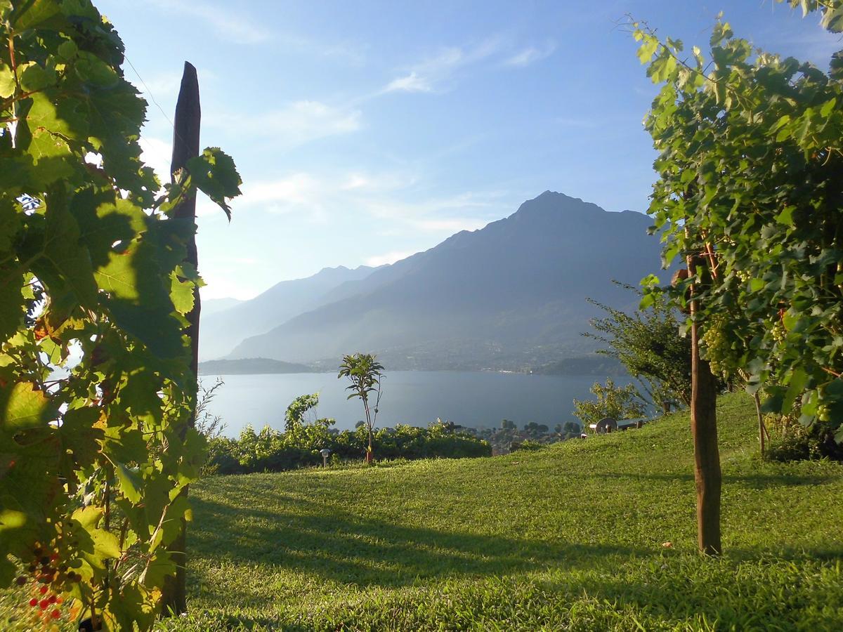 Campsite Camping Colle Vento Domaso