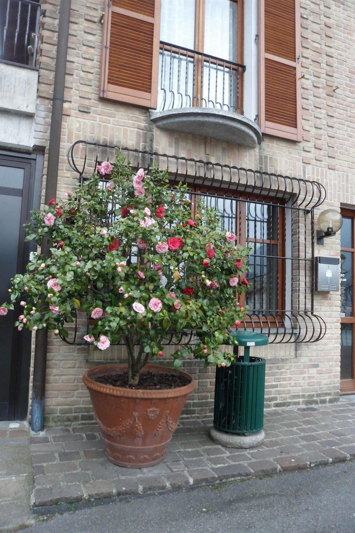 Hotel Ristorante Vapore 2*