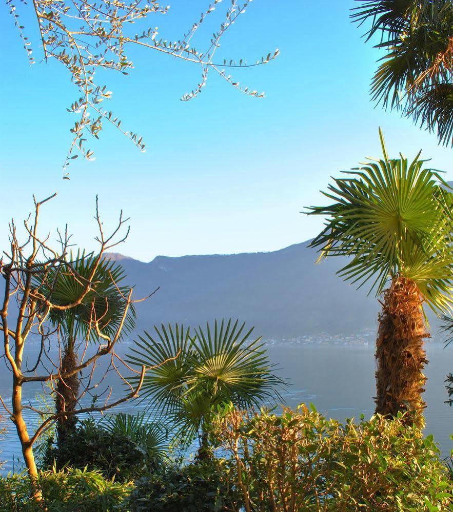 Palm Bay Garden * Sala Comacina