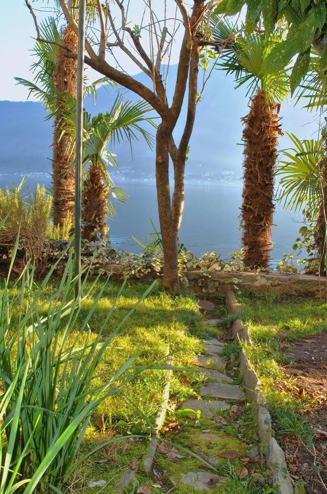 Palm Bay Garden *