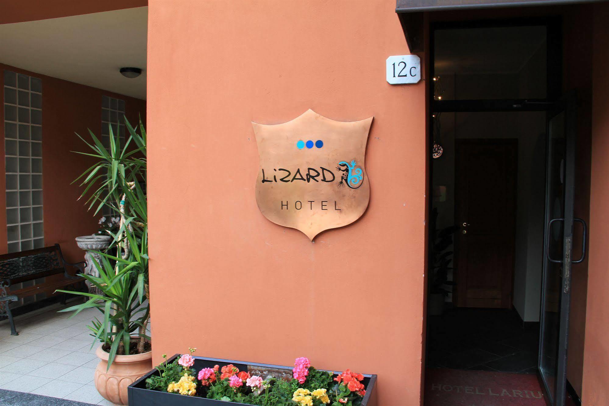 Lizard