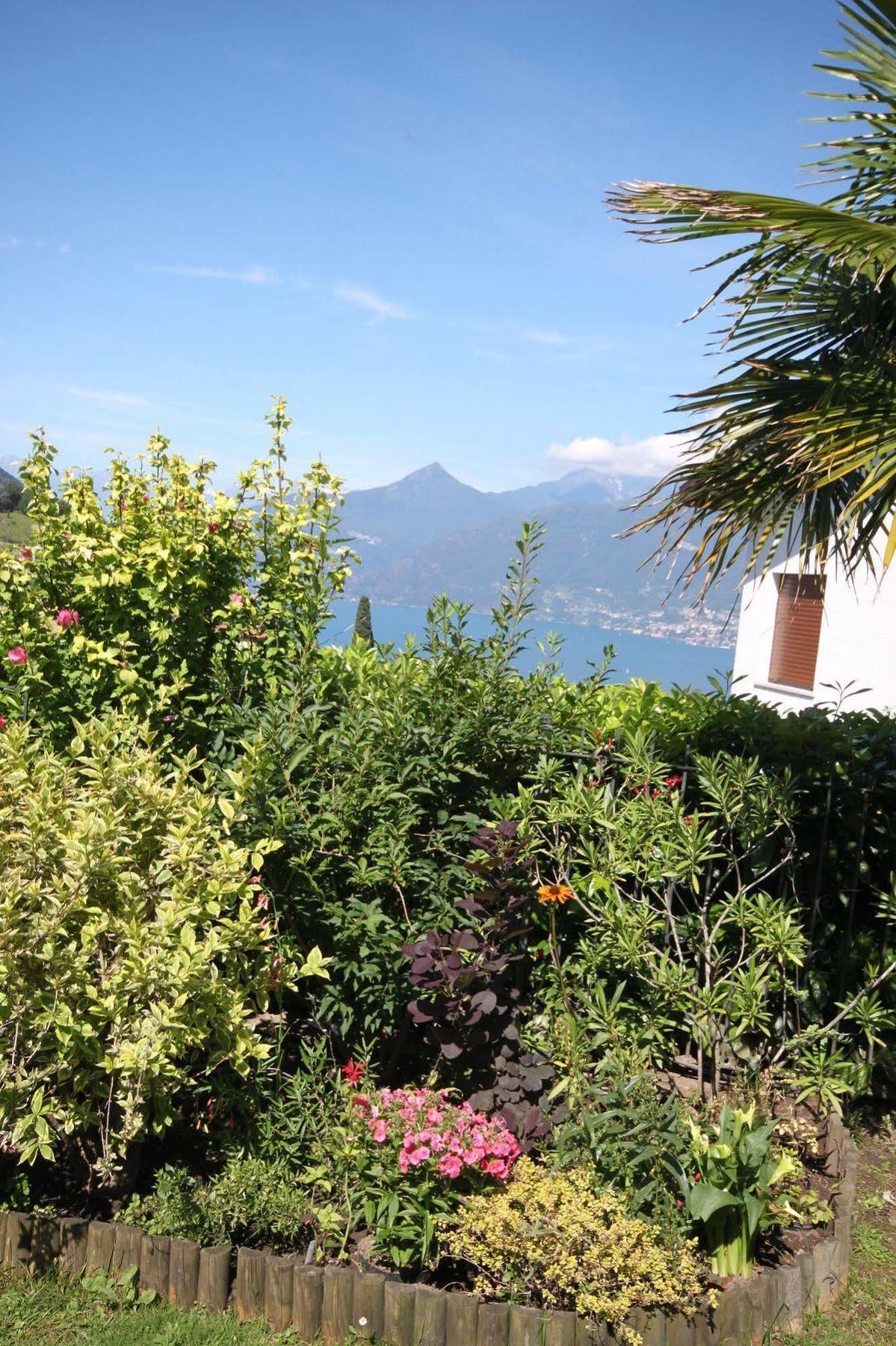 Balcone Fiorito