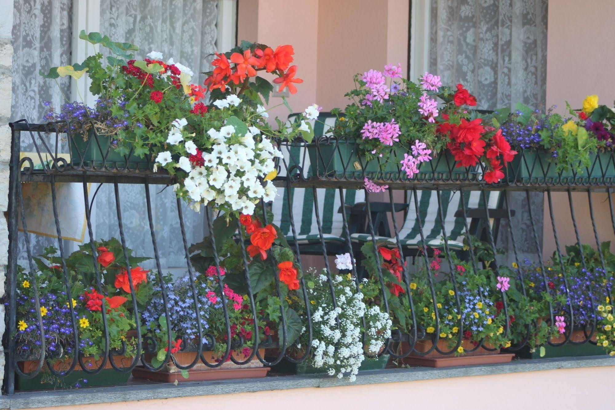 Frühstückspension Balcone Fiorito *