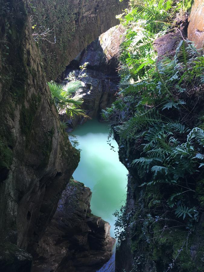 Riflessi Di Dorio