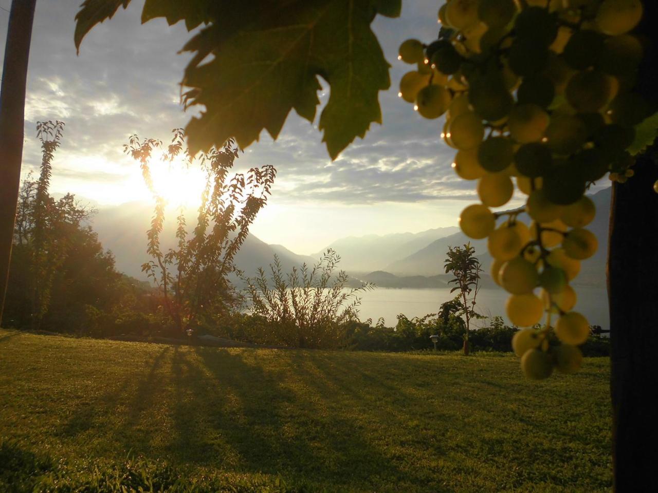 Campsite Camping Colle Vento *