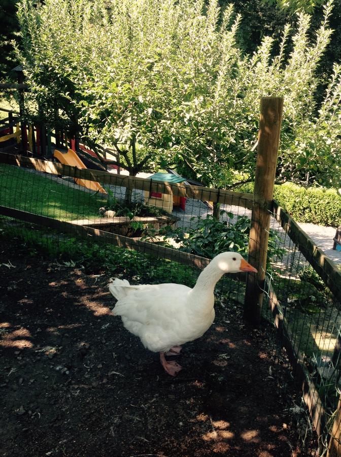 Farm stay Barcola Grandola ed Uniti