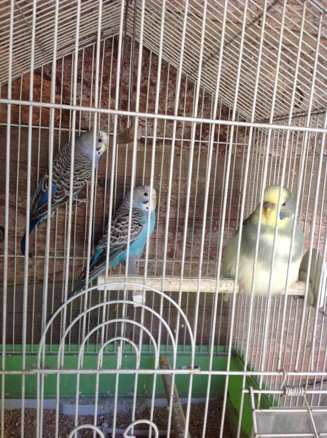 Barcola Farm stay *