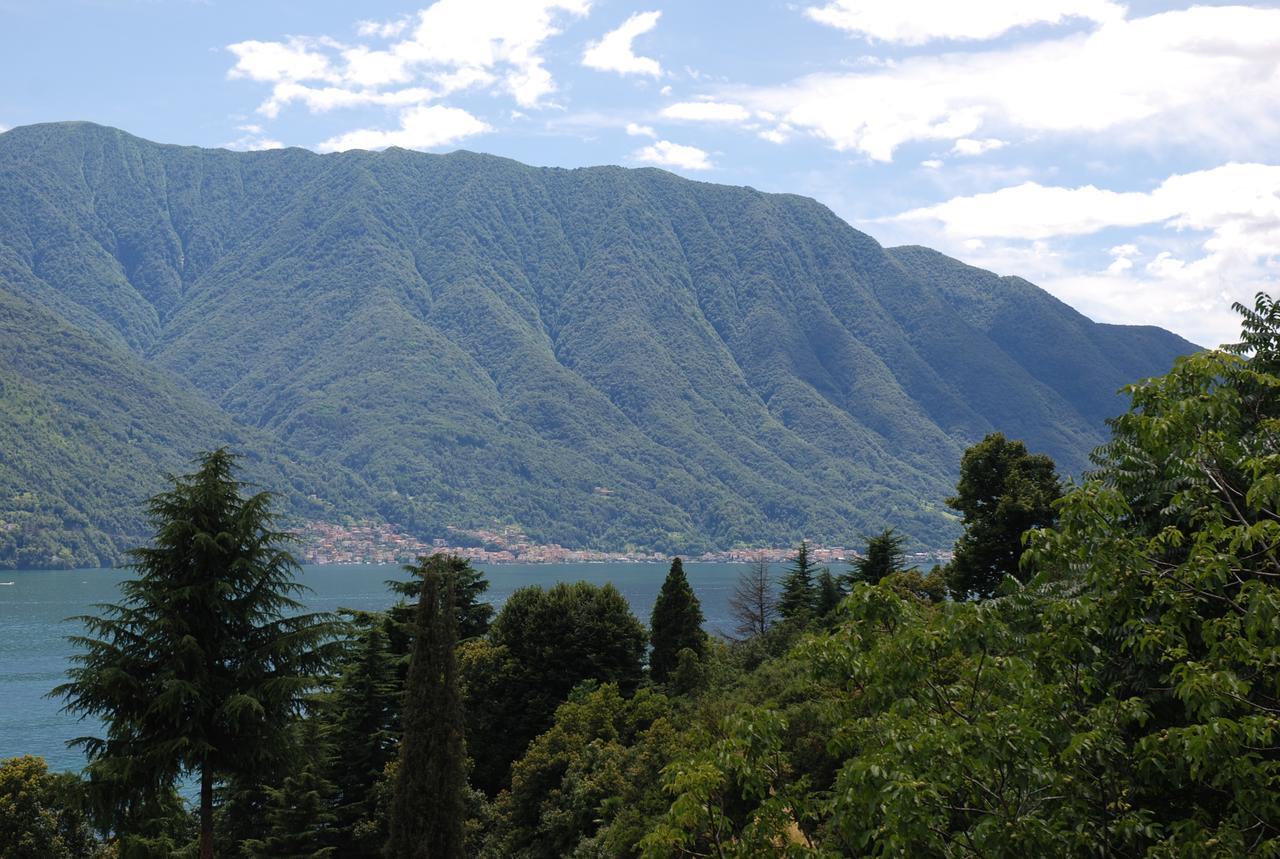 Selve Di Rogaro Tremezzo