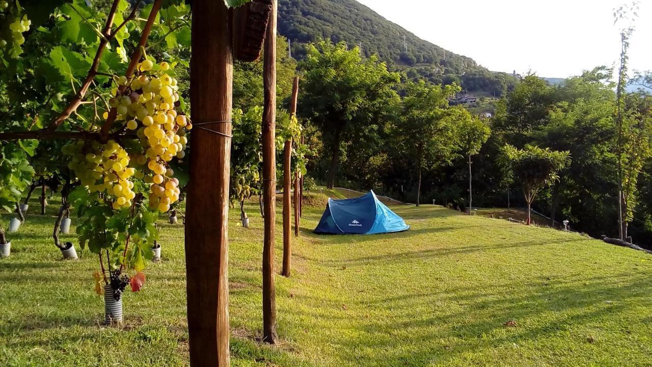 Camping Colle Vento Campsite Domaso