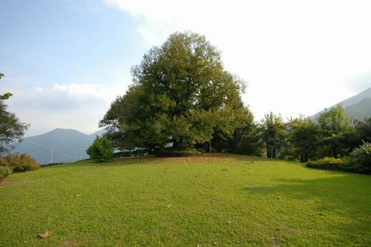 Il Castagno Casasco Intelvi