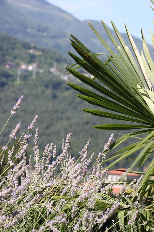 Balcone Fiorito * Menaggio