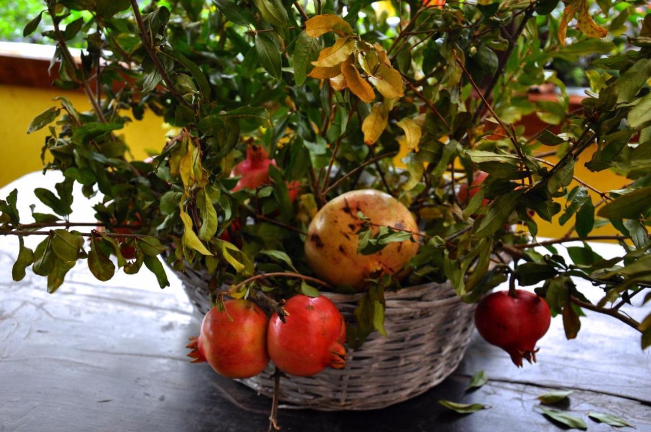 Farm stay Barcola *