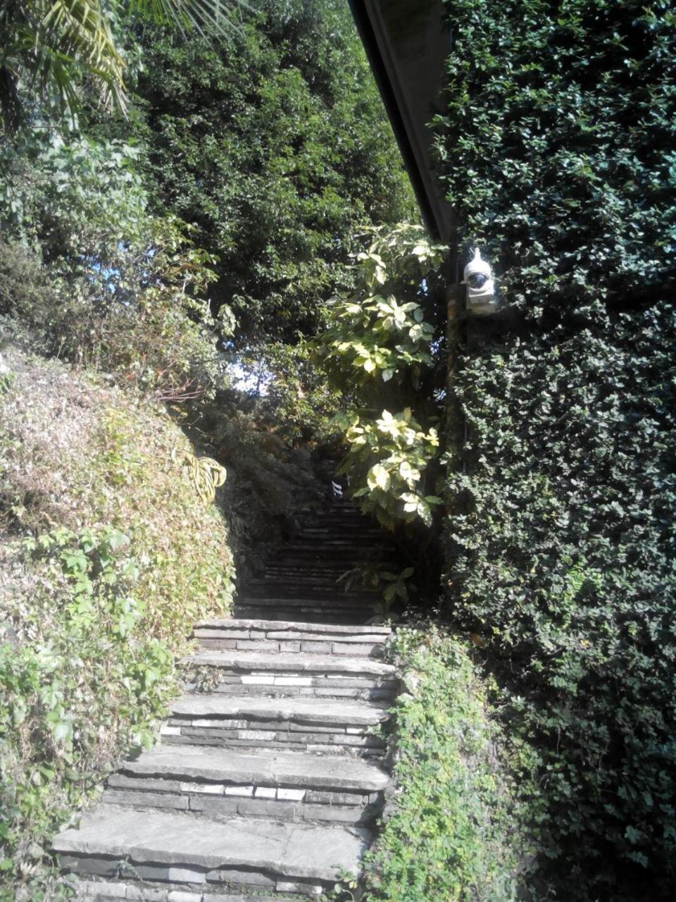 Le Ortensie -lago Di Como * Lierna
