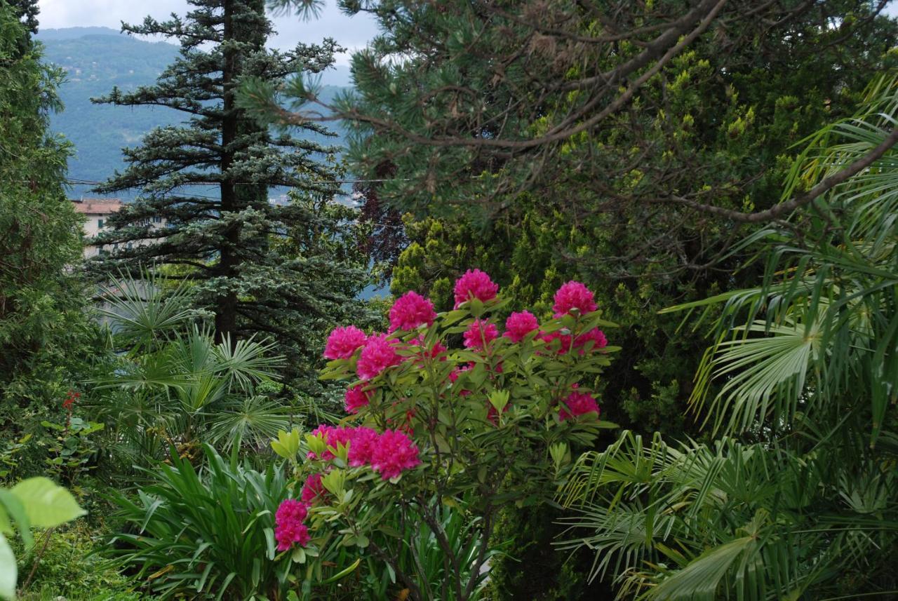 Le Ortensie -lago Di Como Bed & Breakfast Lierna