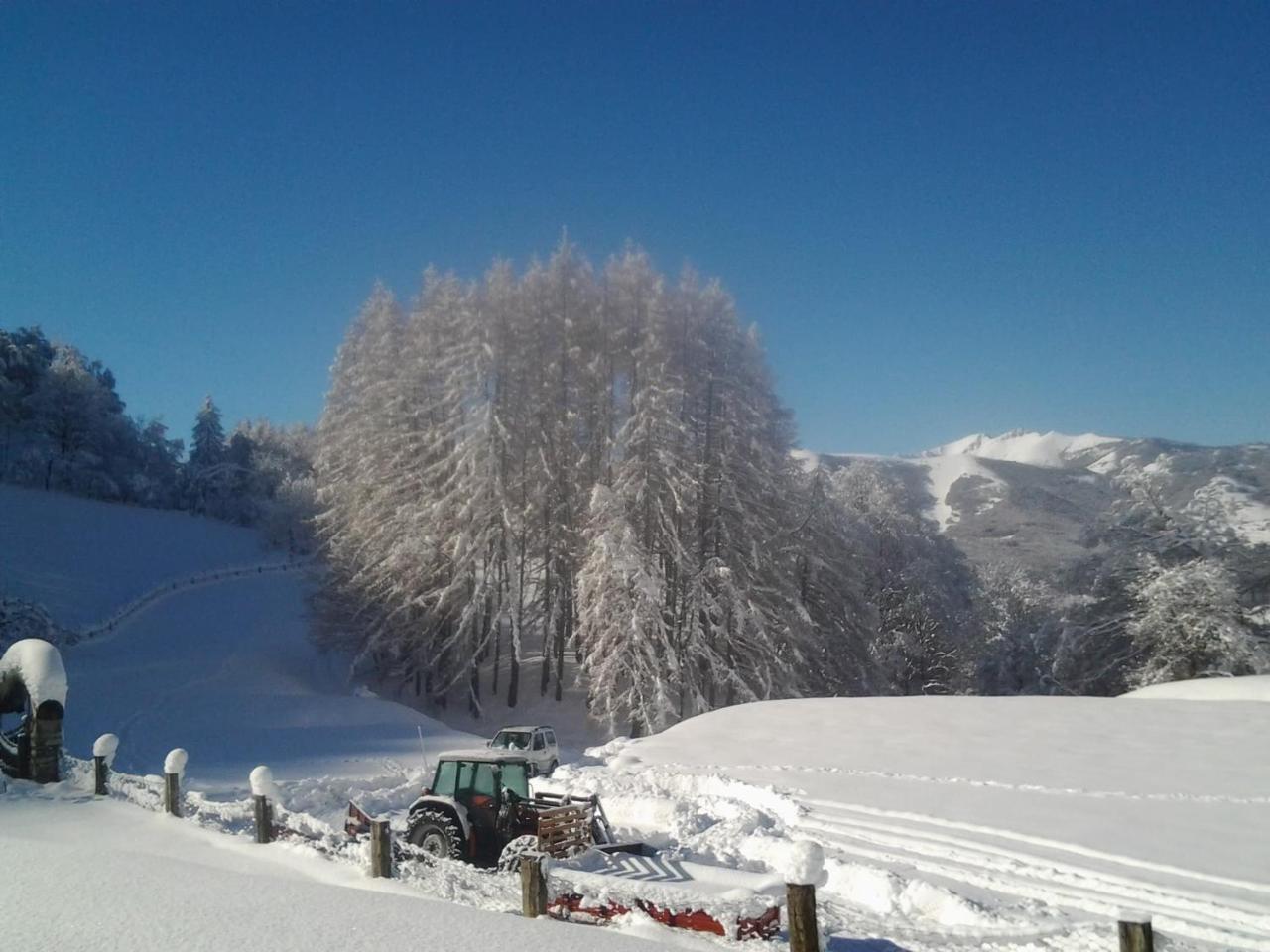 Farm stay Le Radici