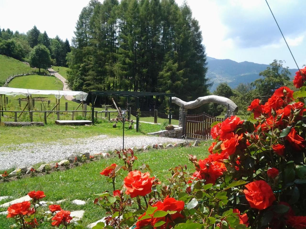 Le Radici Farm stay San Fedele Intelvi
