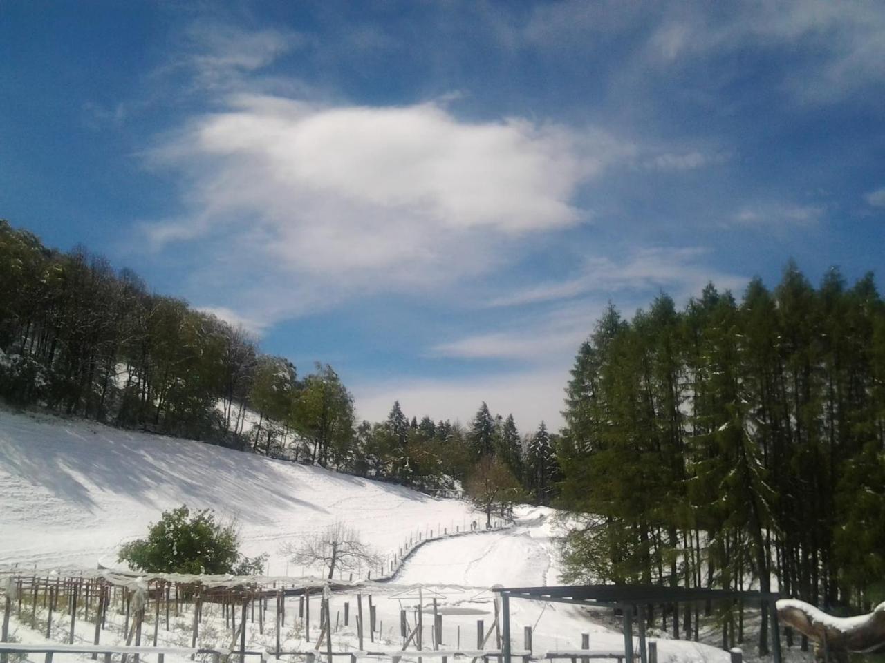 Farm stay Le Radici *
