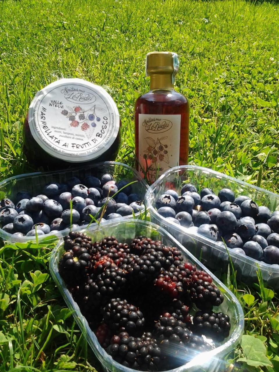 Le Radici Farm stay San Fedele Intelvi