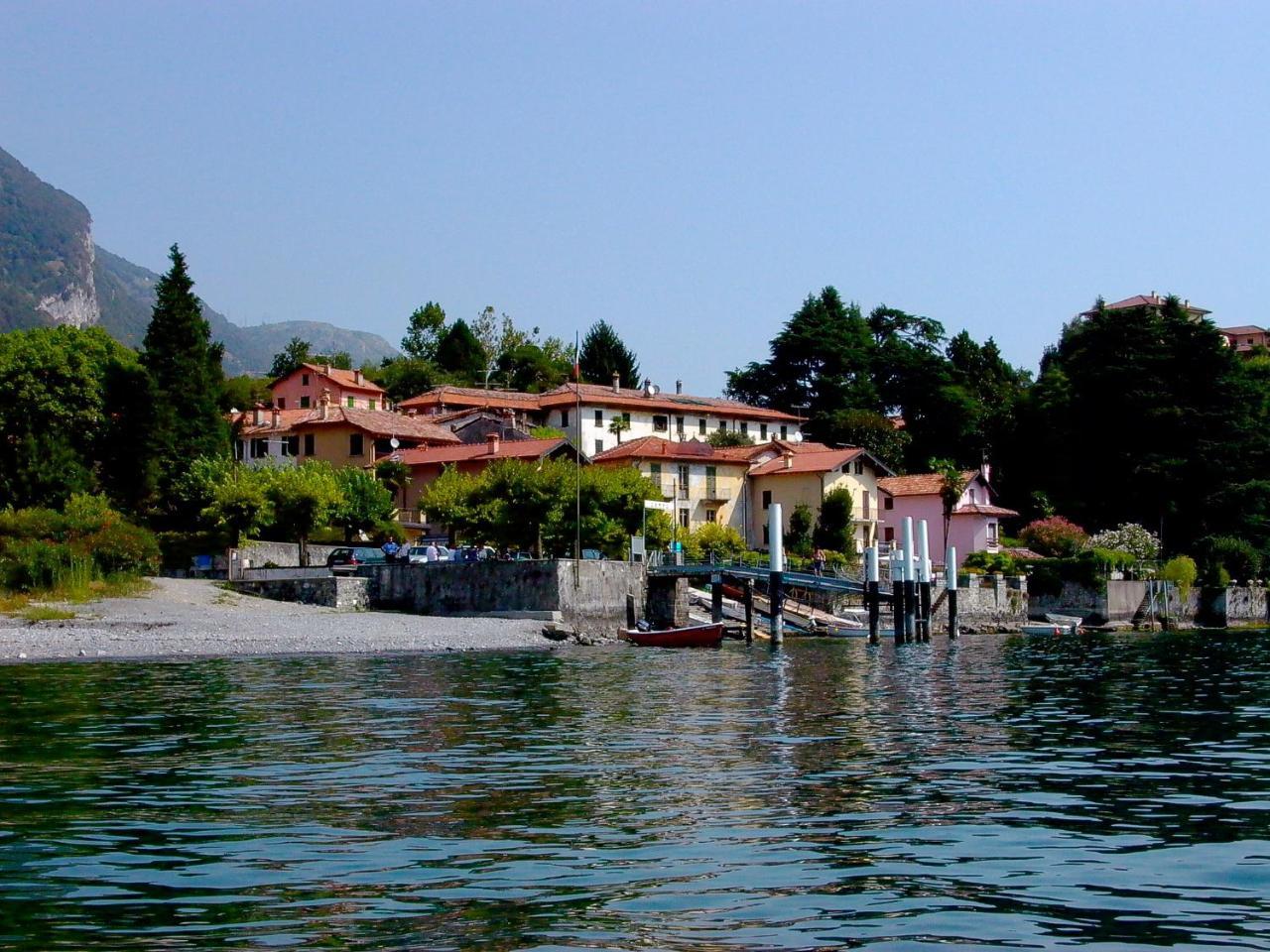 Il Grifo 3*