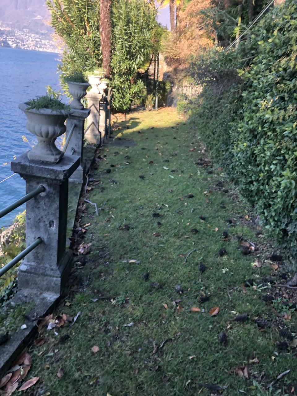 Giudici Luxury On The * Nesso