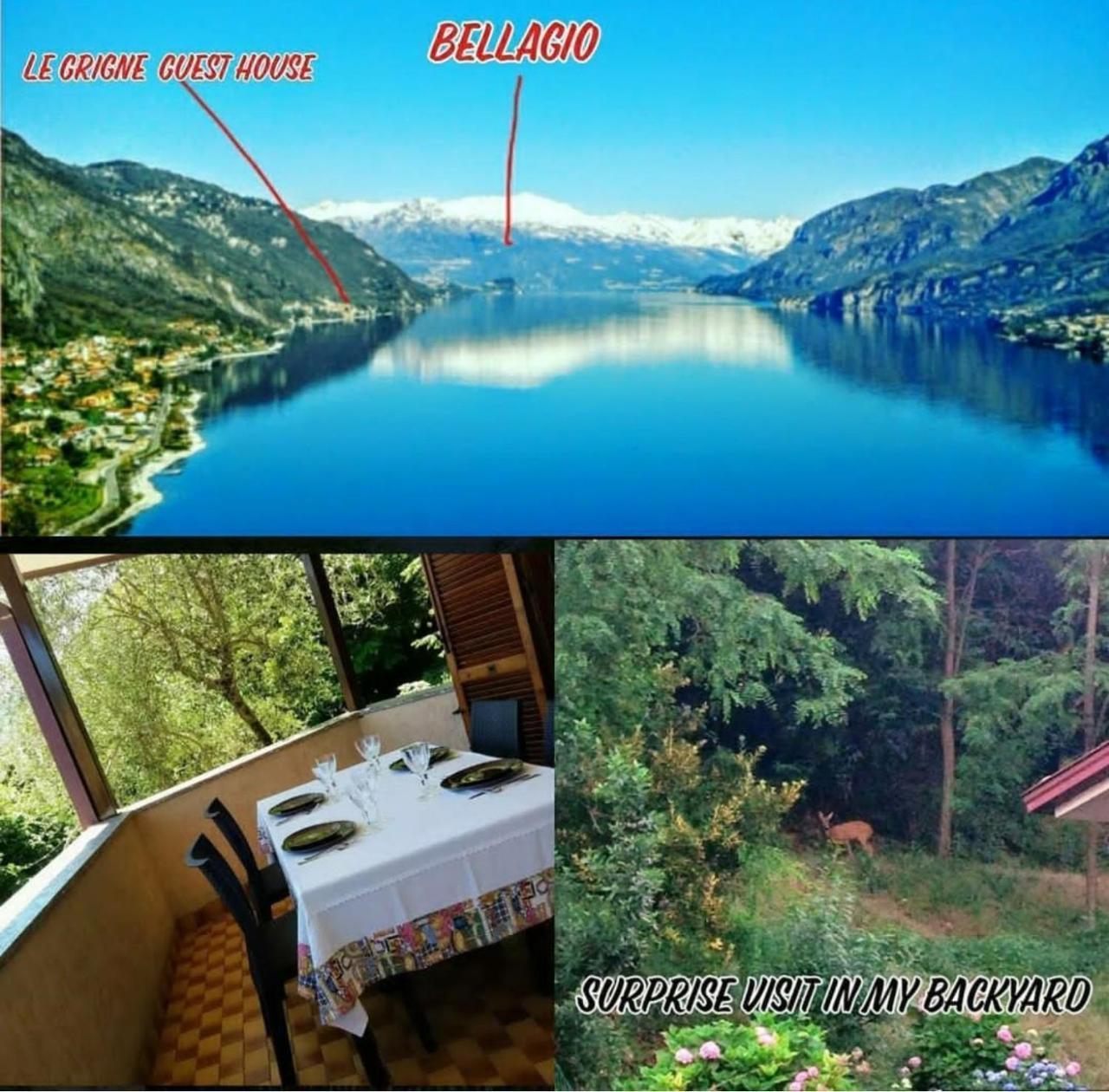 Apartment Le Grigne *