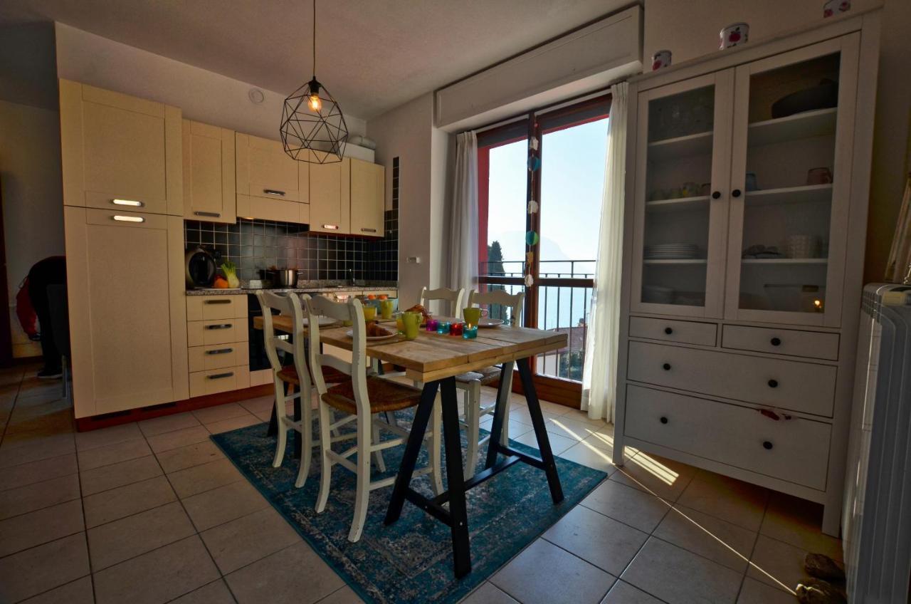 Camelia Apartment