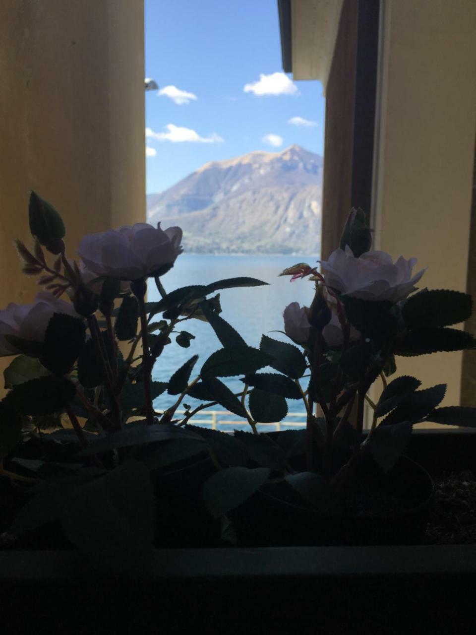 Cozy Garden Retrait Varenna