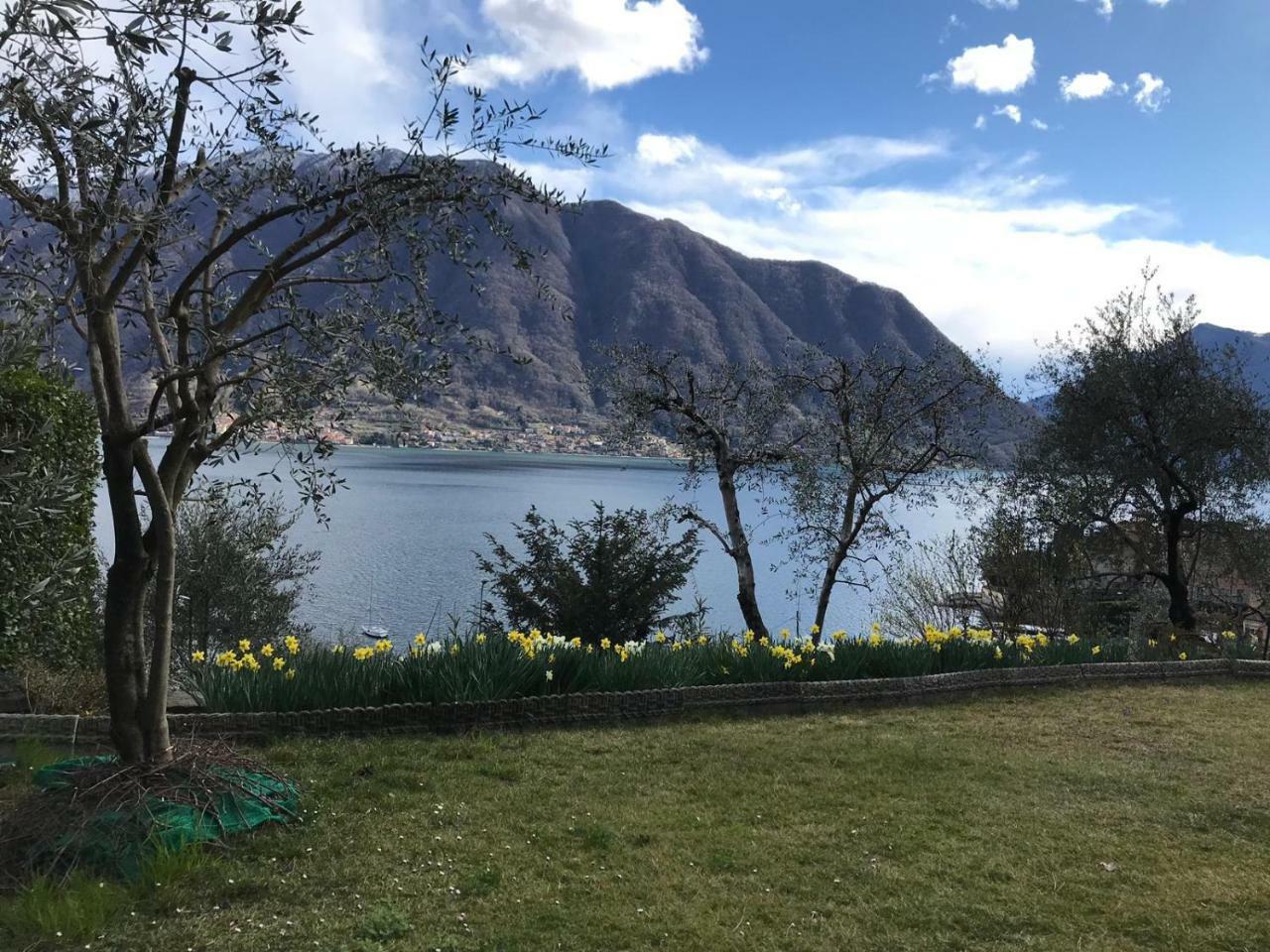Apartment Big With View And Three Bedrooms *
