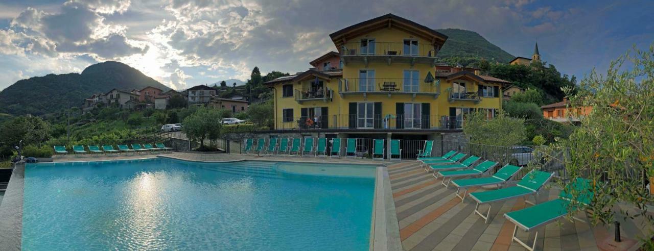 La Collina Degli Ulivi Apartment *