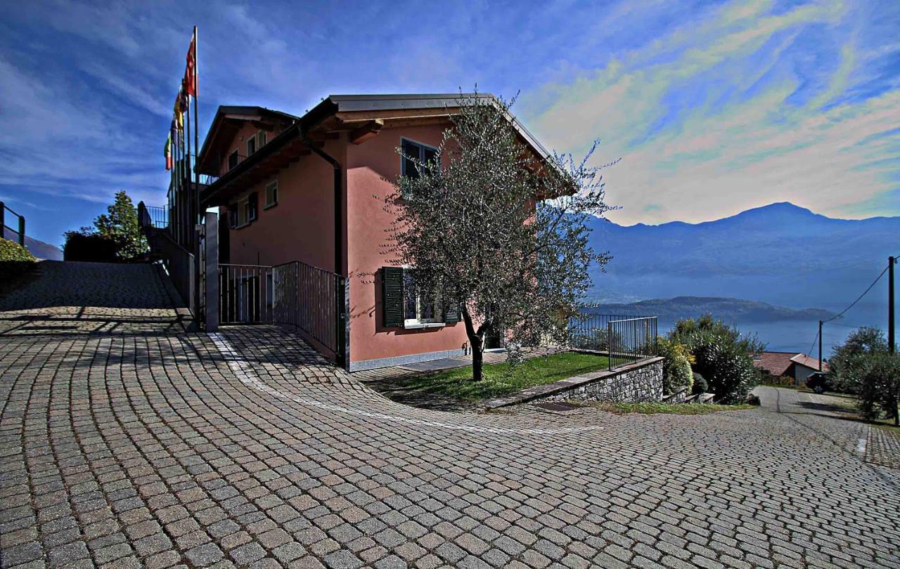 La Collina Degli Ulivi Apartment *